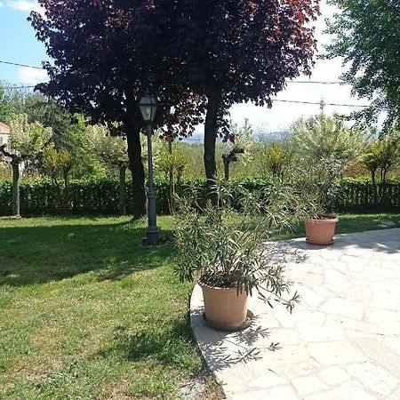 Villa Laura Incisa Scapaccino Eksteriør billede